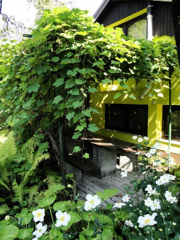 Blumauer Apartment